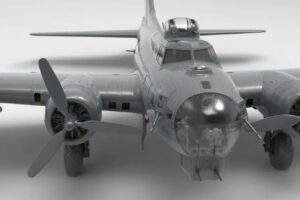 1000013113 1000013113