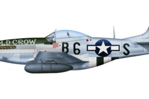 11_P-51D_Old-Crow-NMF-Profile