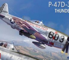 48023 P-47D-30 RE 48th scale Miniart (1)