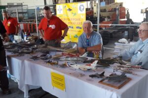 ASM_Kirtland-AFB_Airshow-Model-Display_Jun16_35