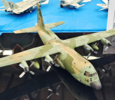 Austrailia Model Show