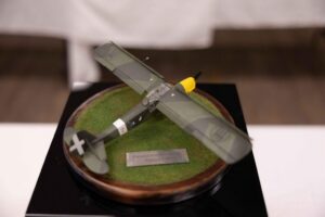Fiesler Storch