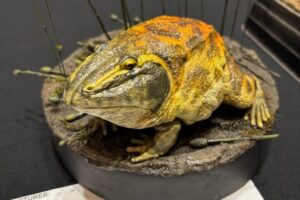 IMG_5434 IMG_5434