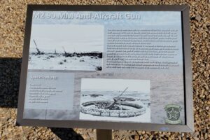 M2-AA_1_20250319_154704_Crpd