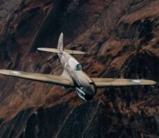 P40