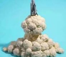 Space-Shuttle-Launch-With-Cauliflower-Smoke