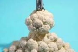 Space-Shuttle-Launch-With-Cauliflower-Smoke