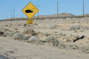 Tank-Crossing_2_20250320_084247